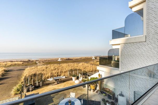 Duinroos 15 - Foto 1