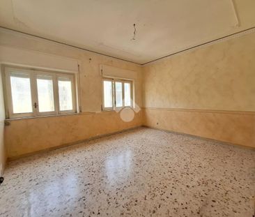Trilocale in affitto - Photo 1