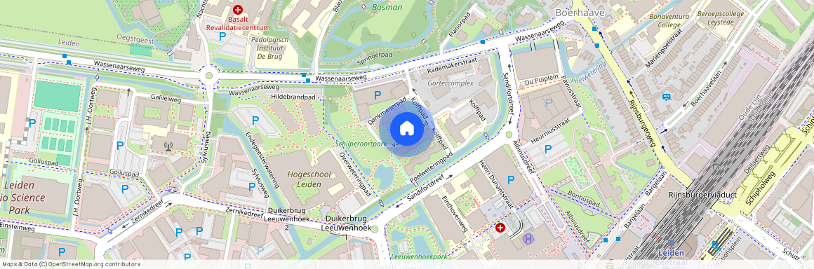 Pesthuiswijk, 2333 BV, Van Rijsselpad, Leiden