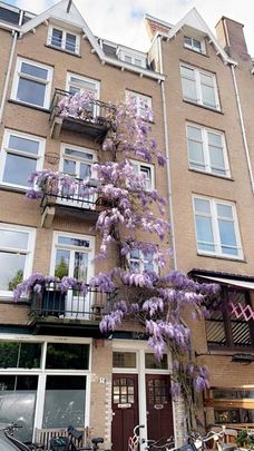 Te huur: Appartement Vaartstraat in Amsterdam - Photo 1