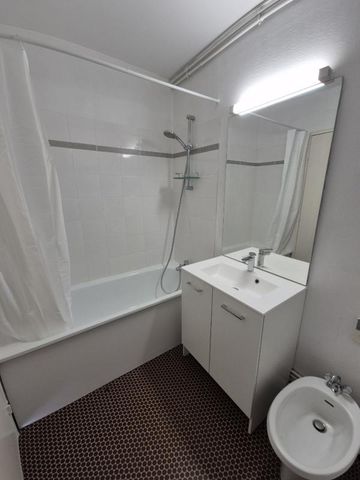 Location Appartement 1 pièce 29m² NANCY 54000 - Photo 3