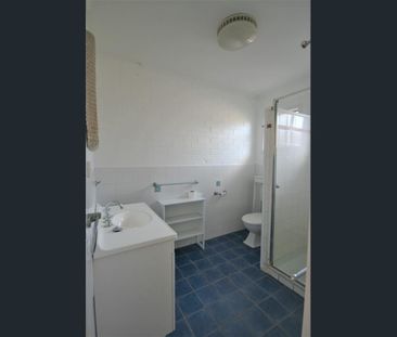 Sunny and Private 2 Bedroom Unit - Photo 3