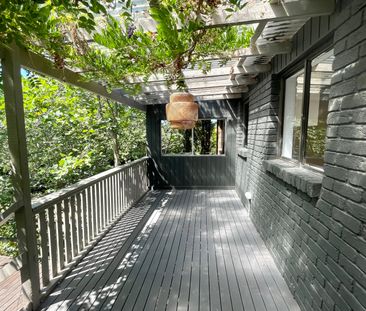 40 Darley Street, Forestville NSW 2087 - House For Rent | Domain - Photo 4