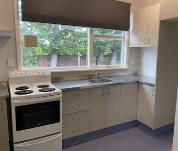 Tidy one bedroom unit in Sockburn! - Photo 5