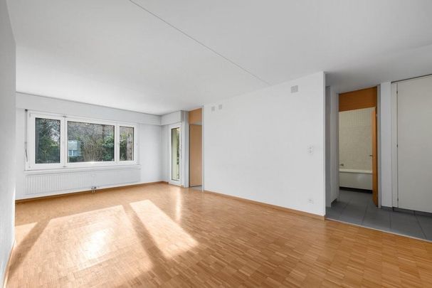 Wunderschöne Wohnung sucht neuen Mieter/in - Foto 1