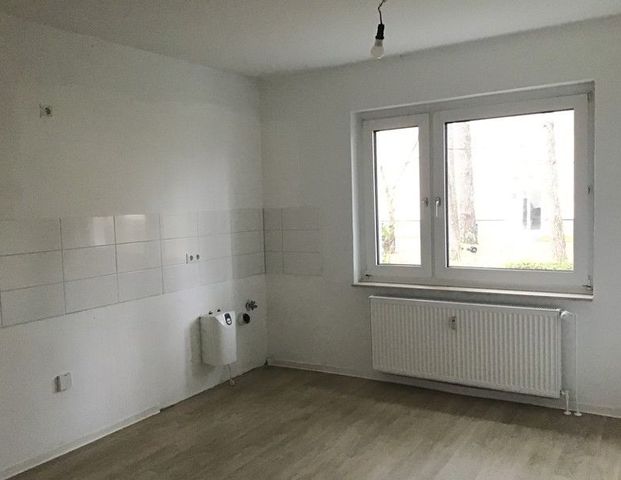 2 Zimmer-Wohnung im Erdgeschoss / Stadtteil Senne - Photo 1