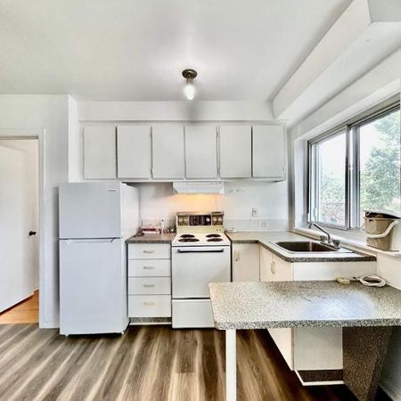 1 CH - 1 SDB - Montréal - $1,450 /mo - Photo 3