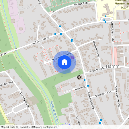 Bachstelzenweg 13, 45772 Marl