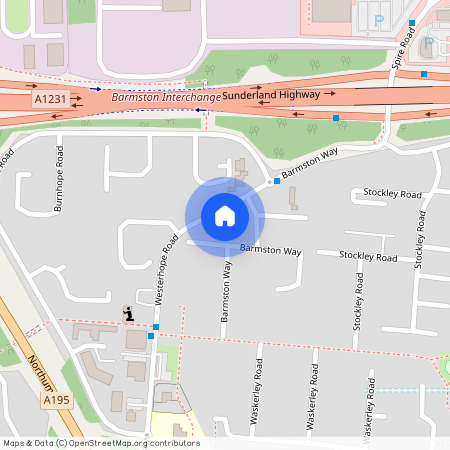 Barmston Way, Washington NE38