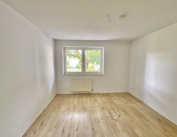 Wohnen am Wacholderweg: Gepflegte Erdgeschoss-Wohnung frei! - Photo 1