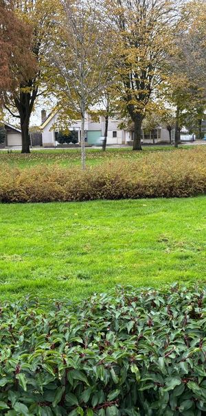 Woning met de slaapkamer op de begane grond - Photo 1