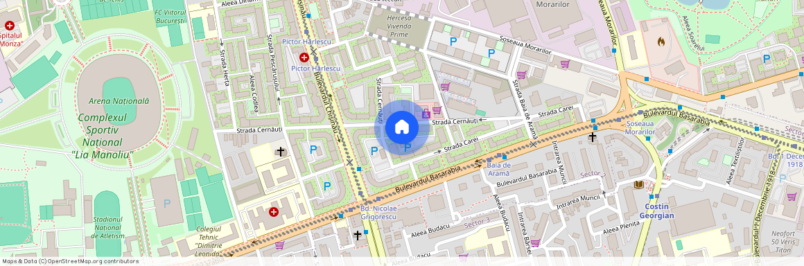 Basarabia, Bucuresti