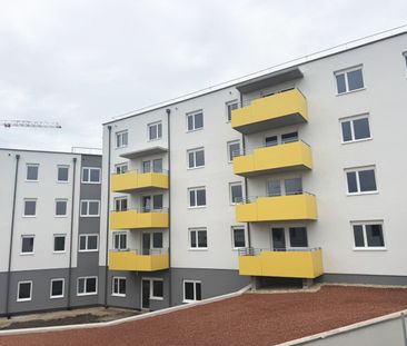 ERSTBEZUG „ein viertel grün“ in Wiener Neustadt - zentral gelegene ... - Photo 1