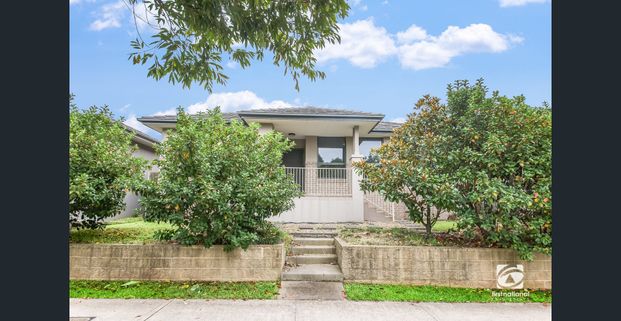4 Bedroom Beauty + Separate Media Room - Photo 1
