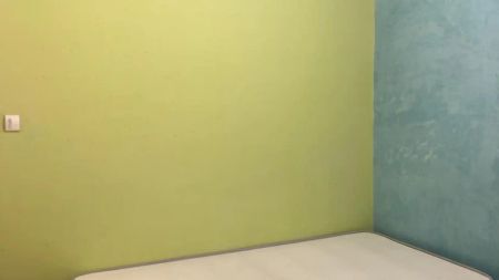 Madrid Capital - Foto 4