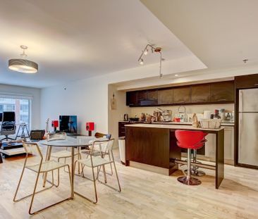 Condo for rent, Montréal (Ville-Marie) - Photo 5