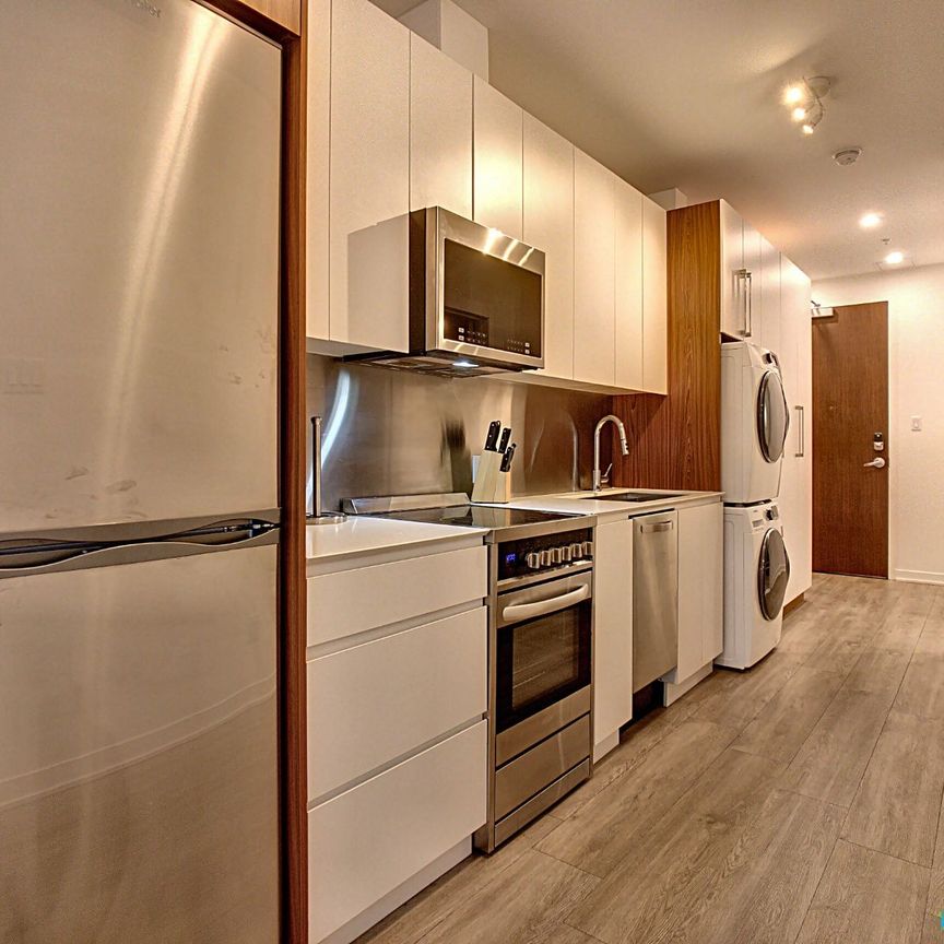 125 rue Charlotte - Unité 3 ½ - Le Zendo, Ville-Marie (Centre-Ville et Vieux-Montréal) à louer - Photo 1