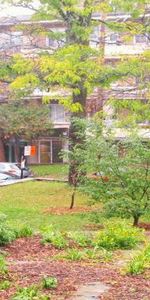 GRAND 4 1/2 PLACE DARLINGTON CARTIER Côte-des-Neiges - Photo 3