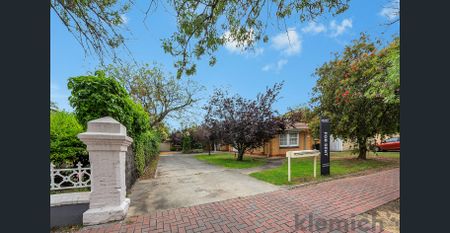 Light, Bright & Private Living in Sought-After St Peters - Photo 2