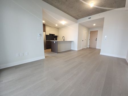 5605 Avenue Pierre-De Coubertin, #1113 - Photo 4