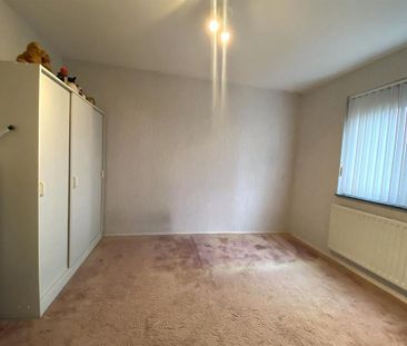 Bruine Lijster - Photo 3