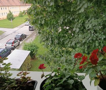 Ruhige Wohnidylle mit Ausblick – lichtdurchflutete 3-Zimmer-Wohnung... - Foto 6