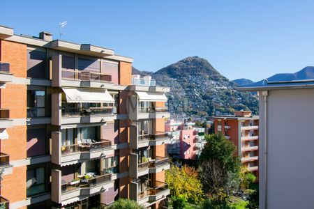 LUMINOSO 2.5 LOCALI A MASSAGNO - Foto 4