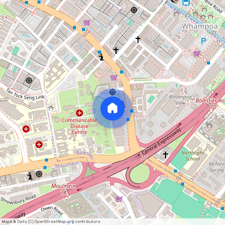 235 Balestier Road, D12, Singapore