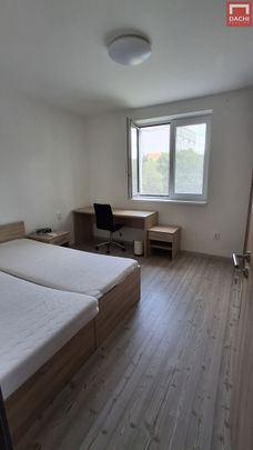 Pronájem bytu 2+1 50 m² - Photo 1