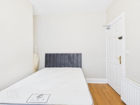 71 Sandhurst Gardens, Belfast, BT9 5AX - Photo 4