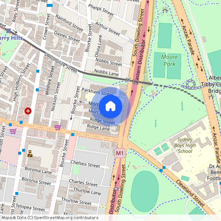 45 Mort Street, NSW 2010, Surry Hills