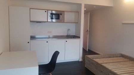 FOR STUDENTS ONLY! Studio for rent at THE LINK - Photo 3