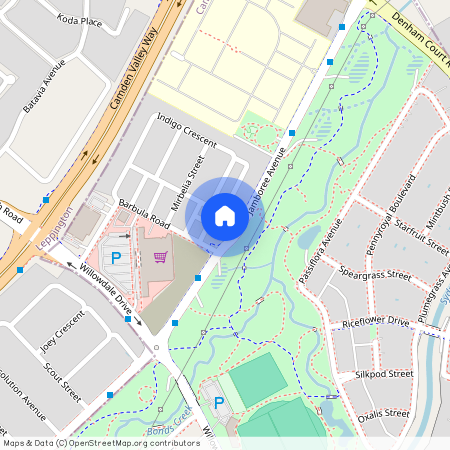 199 Jamboree Avenue, NSW 2565, Denham Court