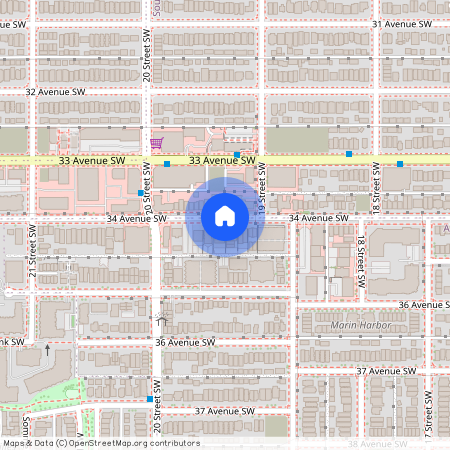 201 - 2035 34 Avenue Southwest, Calgary, Calgary, Calgary Metropolitan, T2T 2C4