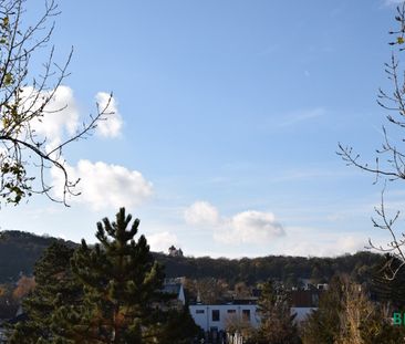 Sonnige, entzückende, top 3-Zimmerwohnung – Blick auf Burg Liechten... - Foto 4