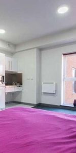 Premium Studio, Poulson House, Stoke-on-trent Student Village, ST4 - Photo 3