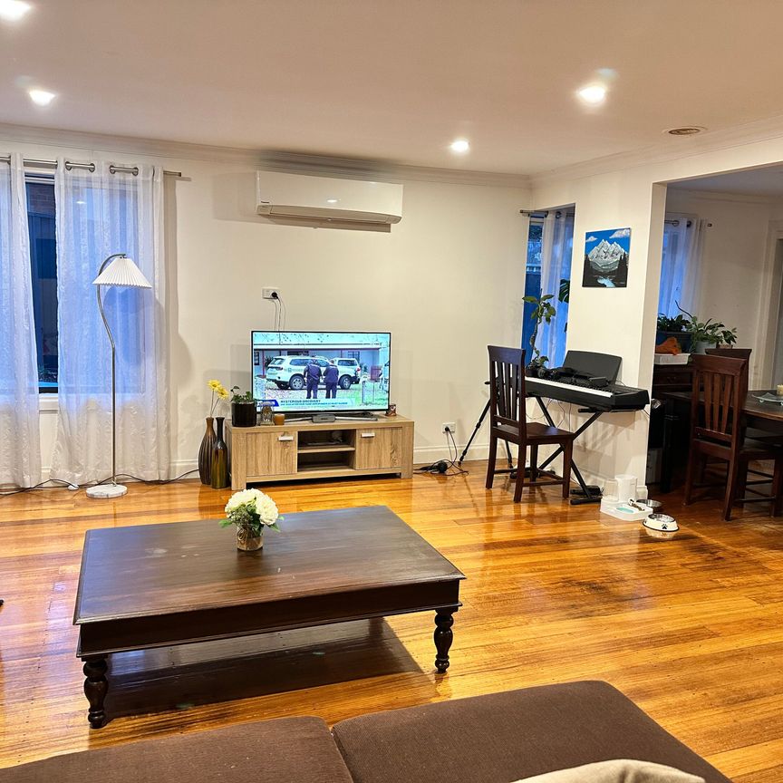 Boronia - Photo 1
