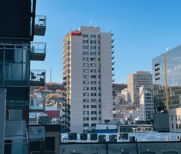 1235 Rue Bishop Montréal (Ville-Marie), QC H3G - Photo 1