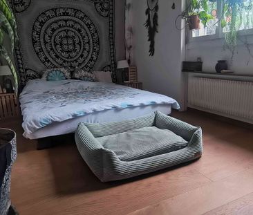 3 Zimmer, 70 m² - Photo 4