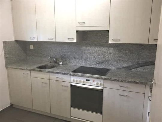 3.5 Zimmer, 73 m², EG - Photo 1