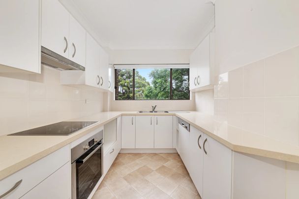 6/461 Willoughby Road, Willoughby. - Photo 1