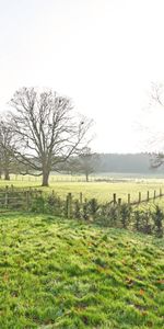 2 bedroom detached bungalow to rent - Photo 4