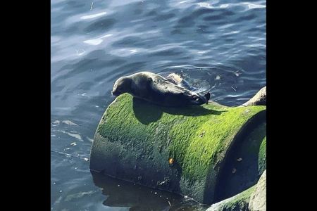 2 Bed Flat, Napier Drive, G51 - Photo 2