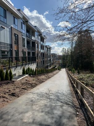 Beautiful One Bed and Den Condo in Langley Overlooking Greenspace with Parking - Photo 1