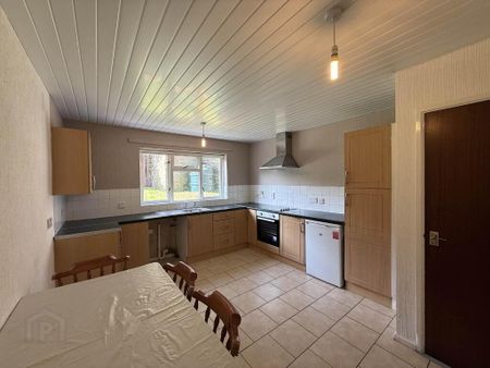 11 Orangefield Drive, Armagh, BT60 1DT - Photo 5