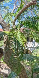 Iconic Art Deco Studio With Charm & Character - Photo 3