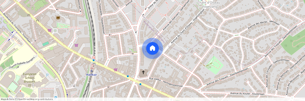 Avenue Alphonse Valkeners - Alphonse Valkenerslaan, 13, 1160, Auderghem