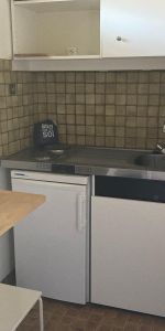 Location Appartement 1 pièce 24m² GRENOBLE 38000 - Photo 3