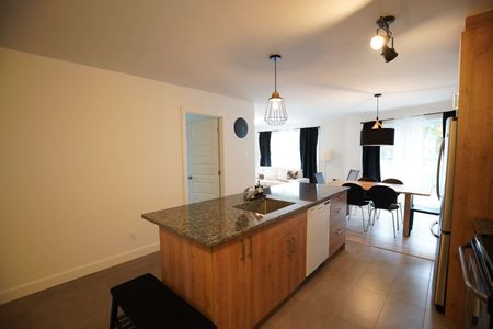 12239, boul. St-Claude · Demi-sous-sol - Photo 4