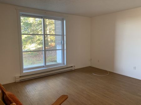 2060-210 RUE GAUTHIER TRÈS BEAU LOGEMENT 4 1/2 DISPONIBLE - Photo 3